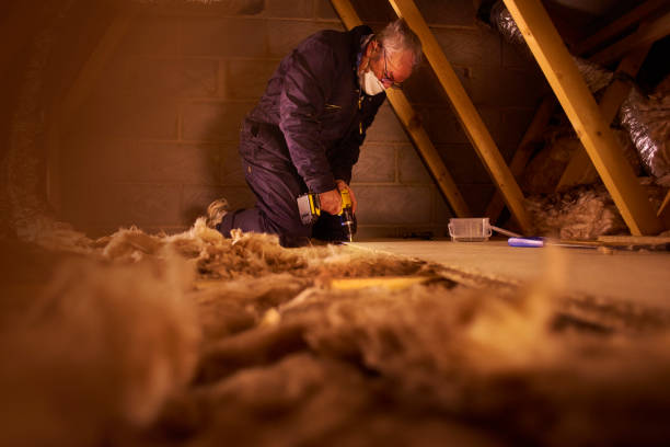 Best DIY Insulation Kits and Guidance in Silver Bay, MN